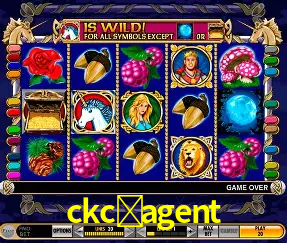 A Experiência Imersiva dos Cassinos Ao Vivo no ckc-agent