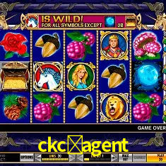 A Revolução dos Aplicativos de Jogos no 330bet