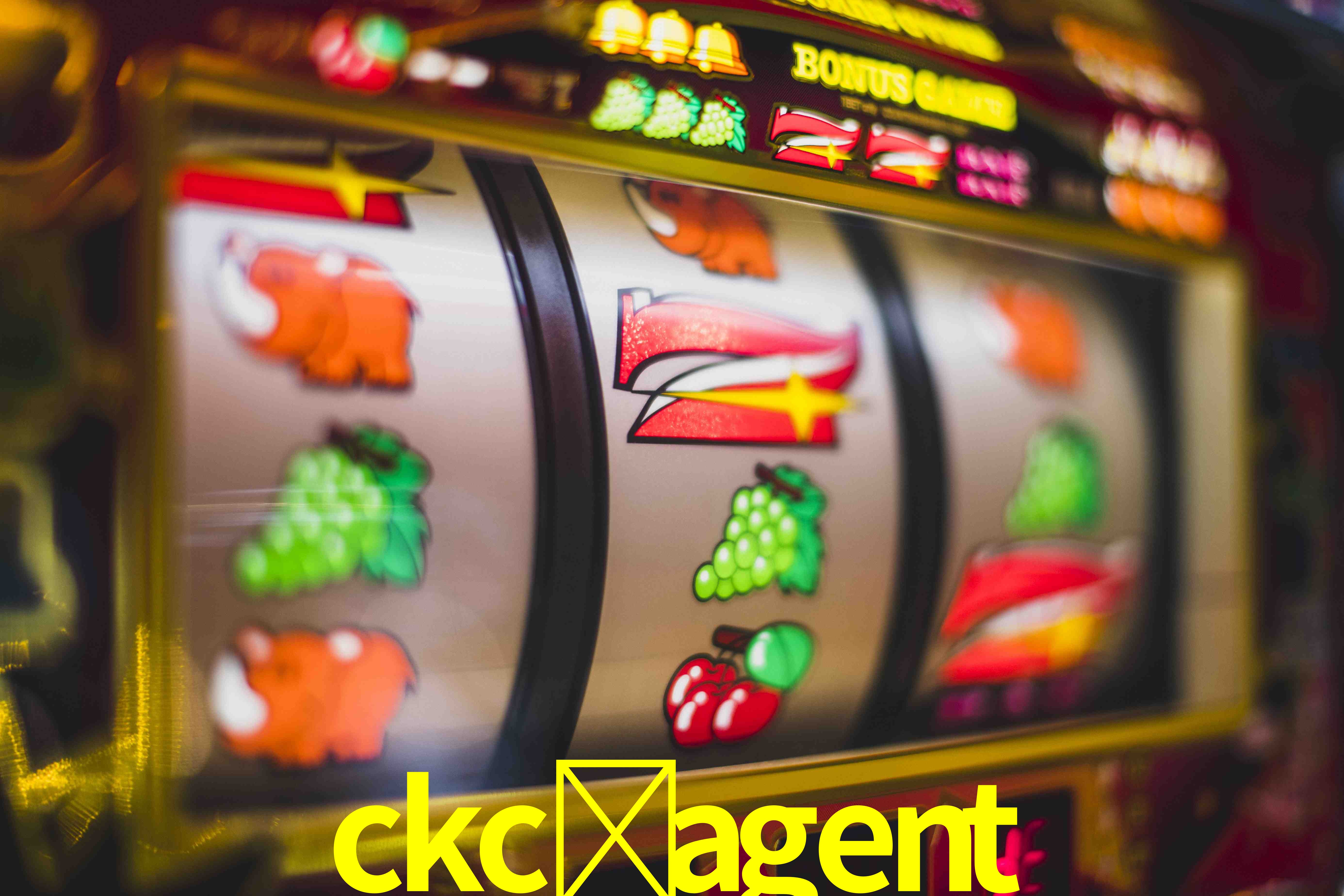 Live Casino ckc-agent
